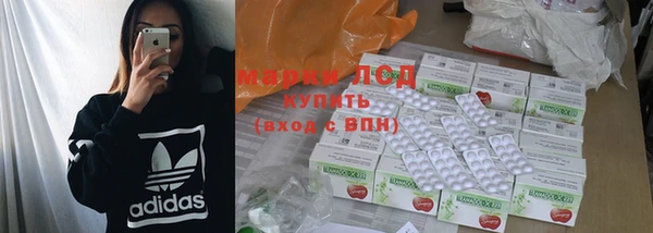 ПСИЛОЦИБИНОВЫЕ ГРИБЫ Михайловка