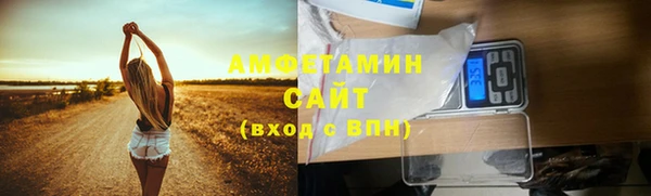 ПСИЛОЦИБИНОВЫЕ ГРИБЫ Михайловка
