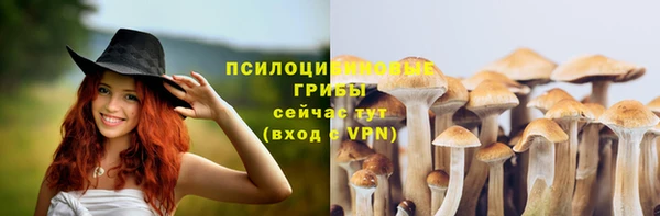 ПСИЛОЦИБИНОВЫЕ ГРИБЫ Михайловка